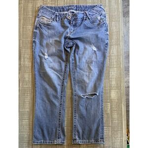 Amethyst Jeans Women's Denim Jeans Mid Rise Regular Fit Blue Size 11 Embroidered